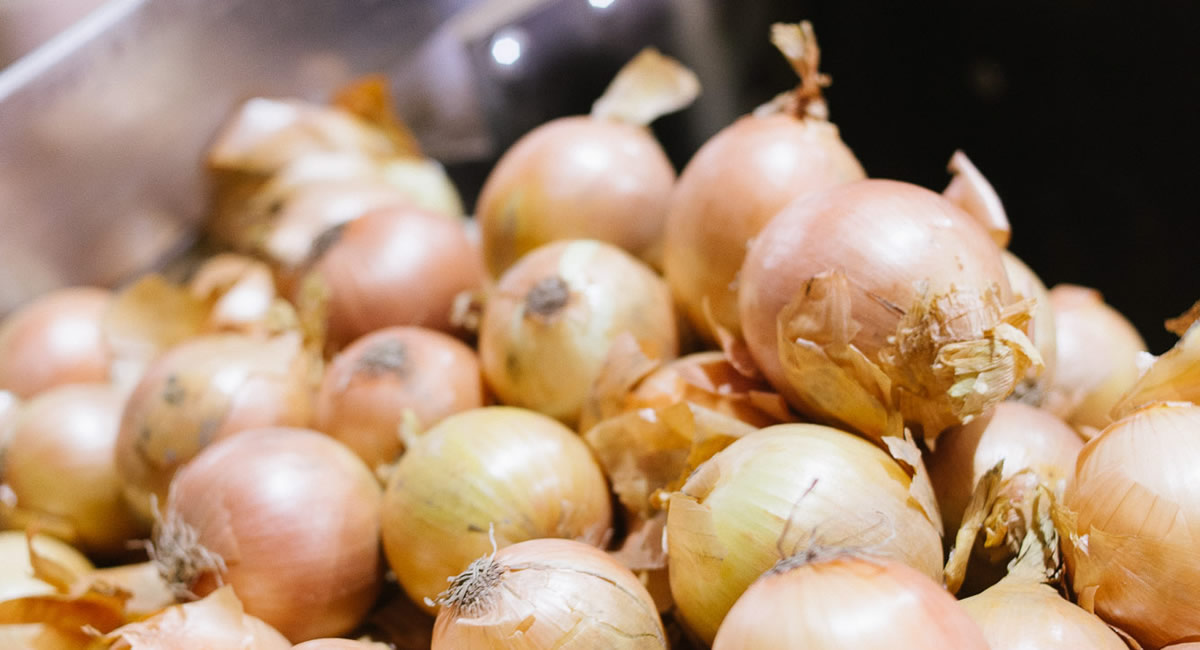 Frische Zwiebeln in der Anlieferung – Start der Verarbeitung bei Fritz Hofbeck Frisch angelieferte Speisezwiebeln in loser Schale – direkt nach der Ernte bei Fritz Hofbeck“