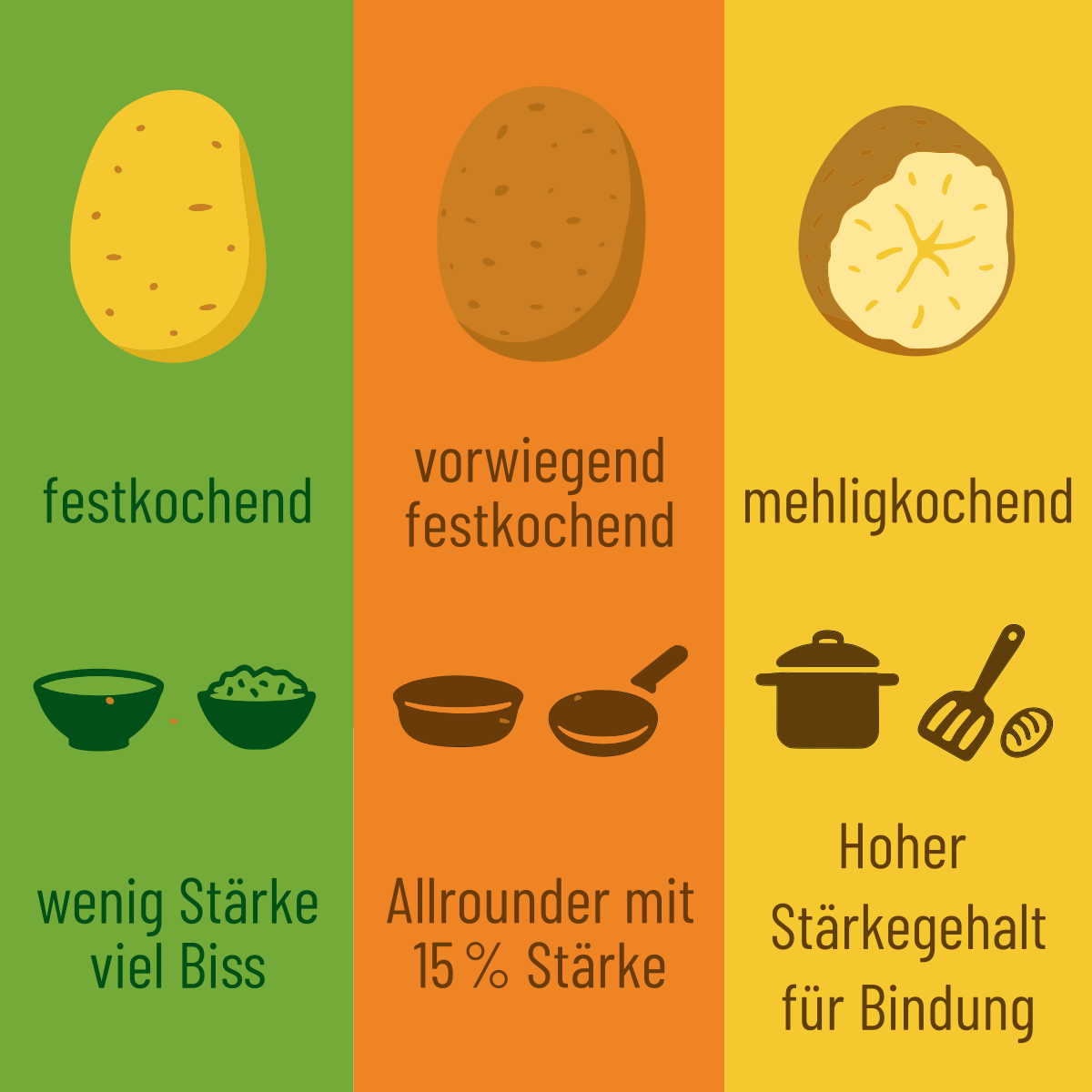 Festkochend bis mehlig: Kartoffelarten und ihre Verwendung | Fritz Hofbeck Infografik mit Text: drei Kartoffeltypen im Vergleich mit Kochsymbolen und Kategorisierung
