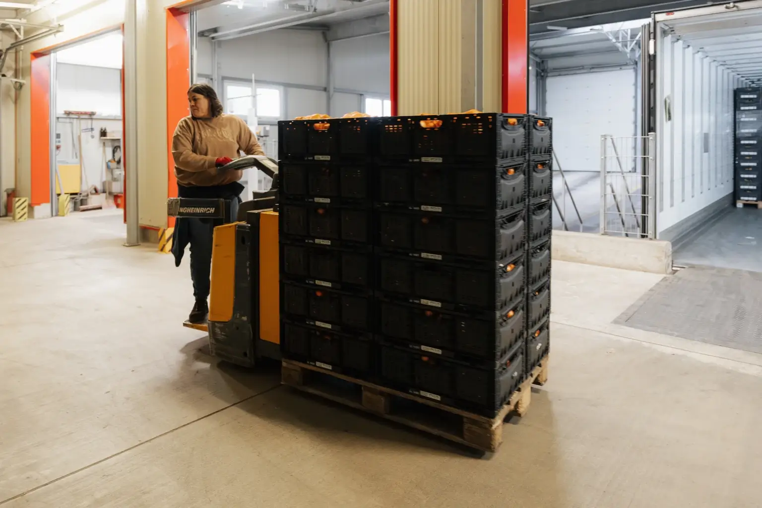 Interne Logistik mit Kartoffelkisten bei Fritz Hofbeck Mitarbeiterin transportiert gestapelte Kartoffelkisten mit einem Palettenhubwagen im Logistikbereich von Fritz Hofbeck.
